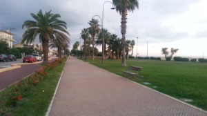 The beachside walking path